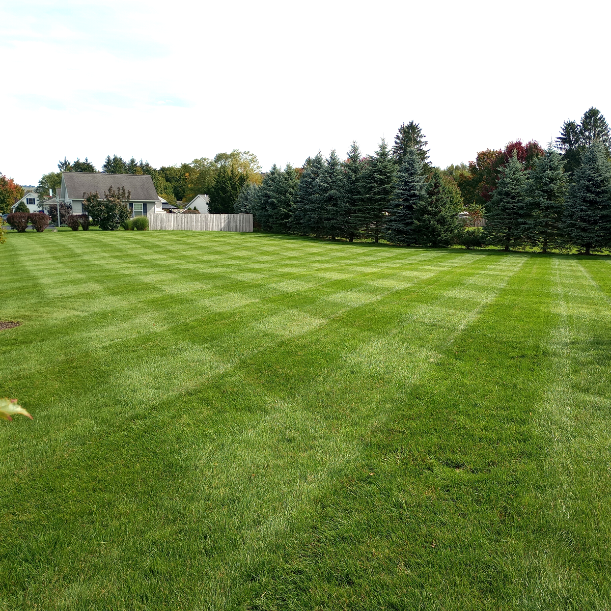 lawn_stripes